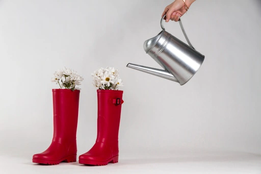 Ogłoszenia w kategorii: Ogród