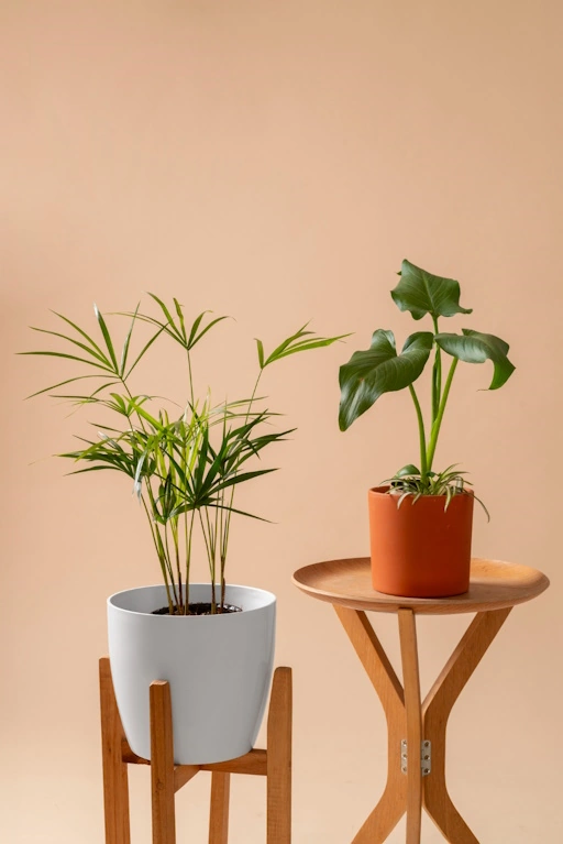 Ogłoszenia w kategorii: Wszystko dla Domu